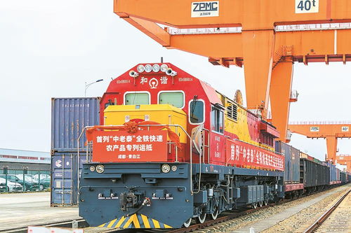 首列中老泰全鐵快速農(nóng)產(chǎn)品專(zhuān)列抵蓉，國(guó)際物流新動(dòng)脈全面打通